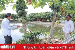 Giáo dân xã Quảng Trường chung sức xây dựng quê hương