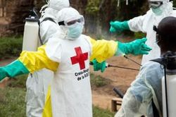Thế giới Thế giới toàn cảnh WHO ban bố tình trạng khẩn cấp y tế toàn cầu về Ebola ở Congo