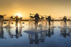 Đẹp ngỡ ngàng cánh đồng muối Bạch Long