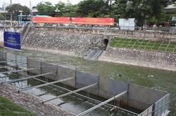 Nỗ lực cứu sông Tô Lịch