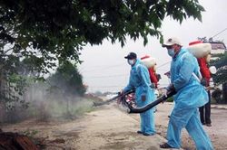 Dịch Sốt xuất huyết bùng phát