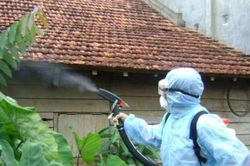 Bộ Y tế mở chiến dịch diệt lăng quăng, bọ gậy quy mô lớn