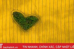 Ngẩn ngơ trước loạt tác phẩm đoạt giải thi ảnh flycam Drone Awards 2019