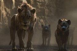 Bản live-action 'Lion King' biến một nhân vật nhỏ thành phản diện chính 'đáng gờm'