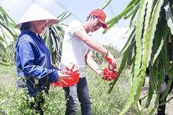 Tạo sức bật mới trong phát triển nông nghiệp, nông thôn