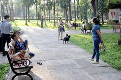 Bất hòa vì nuôi chó