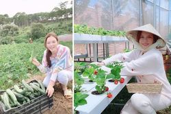 Có nhà dát vàng, 'kho' kim cương, Lý Nhã Kỳ vẫn giản dị không ngờ