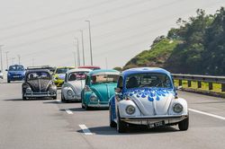 Hơn 400 'con bọ' Volkswagen Beetle hàng hiếm bất ngờ tụ hội