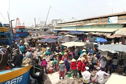 Mùa sò điệp miền Tây