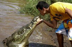 Rùng mình người đàn ông hôn cá sâu để thu hút khách du lịch