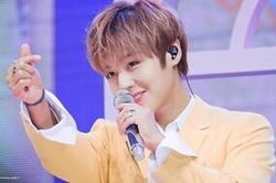 Park Ji Hoon sở hữu khu rừng riêng gần 200 triệu đồng ở Seoul