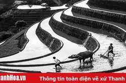2 tác phẩm của Thanh Hóa được trưng bày triển lãm tại Cuộc thi ảnh nghệ thuật quốc tế lần thứ 10 tại Việt Nam 2019