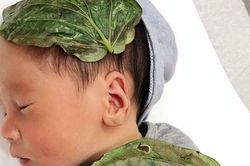 Từ trường hợp bé sơ sinh bị bỏng da do đắp lá trầu không, chuyên gia cảnh báo không tự ý dùng trầu không chữa bệnh