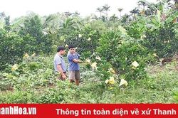 Huyện Thọ Xuân huy động hơn 1.165,5 tỷ đồng xây dựng nông thôn mới
