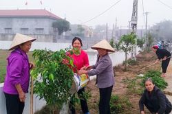 Phụ nữ Khánh An: Phát huy vai trò nòng cốt trong công tác bảo vệ môi trường