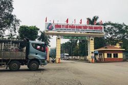 Gang thép Thái Nguyên: Lợi nhuận, doanh thu cùng lao dốc