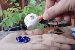 Bộ sưu tập gốm sứ tí hon độc lạ của người đàn ông miền Tây
