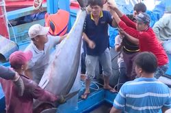 Chợ cá ngừ đại dương khổng lồ ở Phú Yên