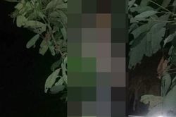 Đi vào rừng hái măng phát hiện người đàn ông treo cổ