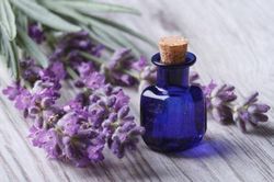 Tinh dầu hoa oải hương: Ngành công nghiệp đang hồi sinh của nước Pháp