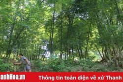 945 triệu đồng hỗ trợ lãi suất theo Nghị quyết 30a