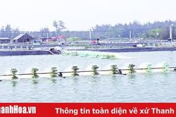 Huyện Quảng Xương phát triển kinh tế trang trại