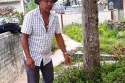 Thi thể bé gái bị bỏ trong thùng giấy giữa nghĩa trang