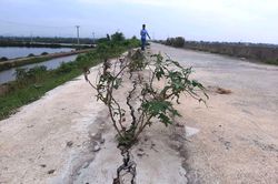 Thanh Hóa: Nứt toác mặt đê trăm tỷ