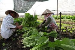 Huy động nội lực để giảm nghèo bền vững - Bài 2: Kỳ vọng giảm nghèo bền vững