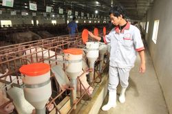 Bảo đảm nguồn cung thực phẩm