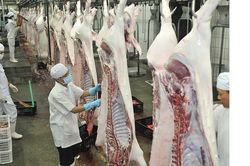 Có thể nhập khẩu thịt heo từ 24 quốc gia