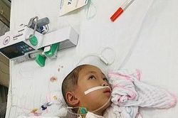 Cứu bé gái bị viêm não Nhật Bản gồng mình chiến đấu với bệnh tật