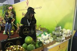 Khai mạc Triển lãm quốc tế Công nghệ chế biến, bảo quản nông sản