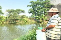 'Dũng sĩ diệt Mỹ' thu tiền tỷ nhờ nuôi cá nước ngọt