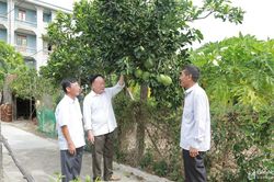 Đổi mới công tác phát triển Đảng vùng đặc thù