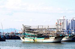 Tàu cá xa bờ đang… nằm bờ