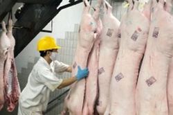 Giá thịt lợn dự kiến sẽ tăng