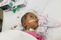 Xót thương bé gái 7 tuổi ở Phú Thọ phải nghỉ học bởi căn bệnh viêm não quái ác