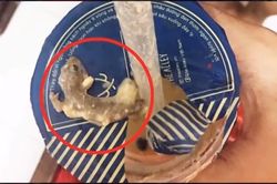 Thương hiệu trà sữa nổi tiếng bị khách hàng tố có lẫn thạch sùng