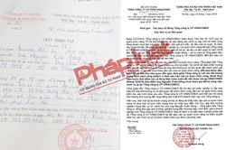 Vinaconex vội vàng thanh minh cho Tổng giám đốc Nguyễn Xuân Đông