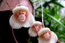19 bức ảnh chứng minh sự diệu kỳ của tạo hóa