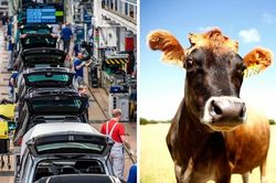 Áp lực phê chuẩn FTA mới của EU sau 20 năm đàm phán