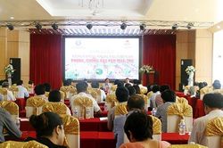 Hội nghị tăng cường công tác chỉ đạo phòng, chống sâu keo mùa thu