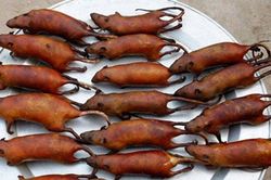 Xem dân nhậu miền Tây biến tấu, thịt chuột kinh dị cũng thành đặc sản vạn người mê