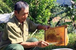 Vốn chính sách giúp cựu chiến binh Lạng Sơn thoát nghèo