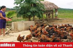 Giám sát thực hiện các quy định bảo vệ môi trường tại các trang trại chăn nuôi