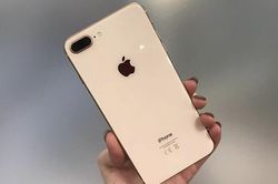 60 tuổi vẫn đi trộm tài sản