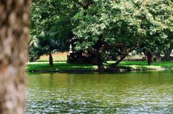 Huế sắp có vườn bách thảo trên sông trị giá gần 40 tỷ đồng