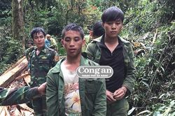'Lâm tặc' nước ngoài lãnh án