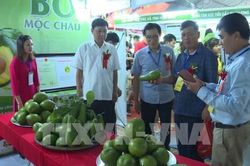 Sơn La mở rộng thị trường hàng Việt theo hướng bền vững